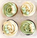 Natural Dye Chocolate + Vanilla Cupcakes